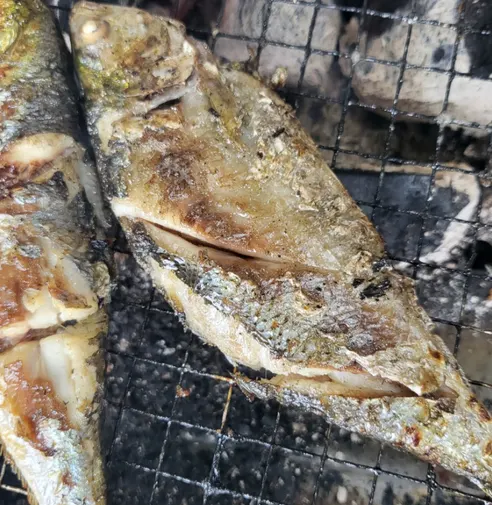 오가네수산 통영 자연산 전어, 세꼬시, 횟감용, 손질 후 300g, 1개 상세 이미지 4