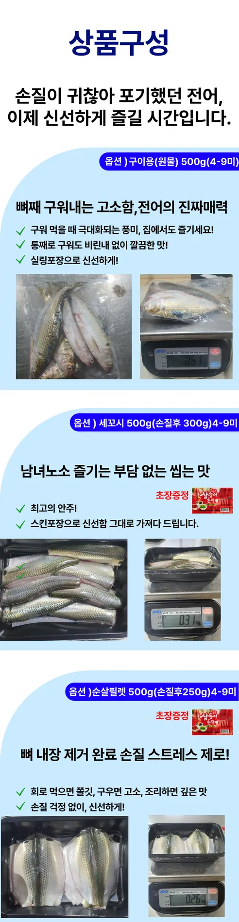 오가네수산 통영 자연산 전어, 세꼬시, 횟감용, 손질 후 300g, 1개 상세 이미지 5