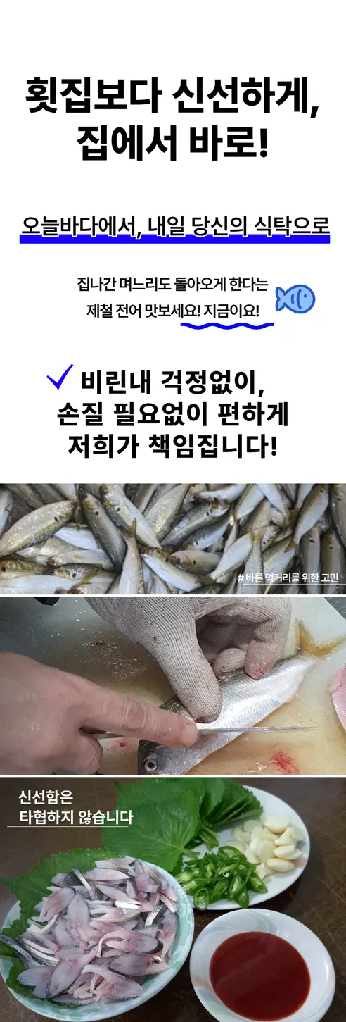 오가네수산 통영 자연산 전어, 세꼬시, 횟감용, 손질 후 300g, 1개 상세 이미지 3
