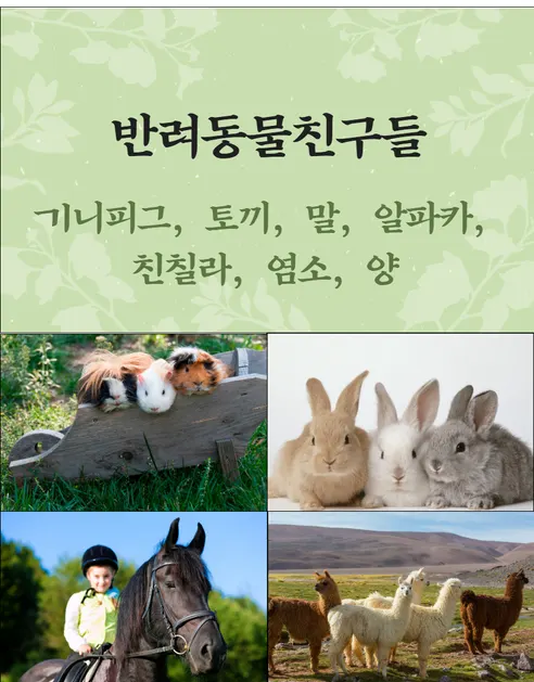 건초 슈퍼 프리미엄 티모시, 5kg, 1개 상세 이미지 8