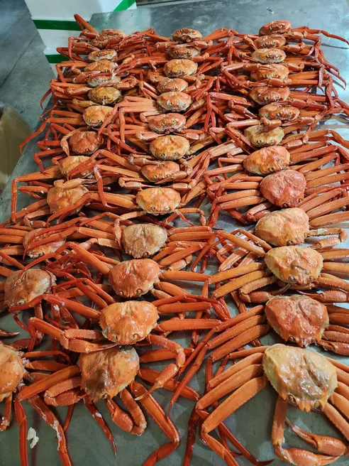 후포리 박달홍게, 4kg, 1박스 상세 이미지 10