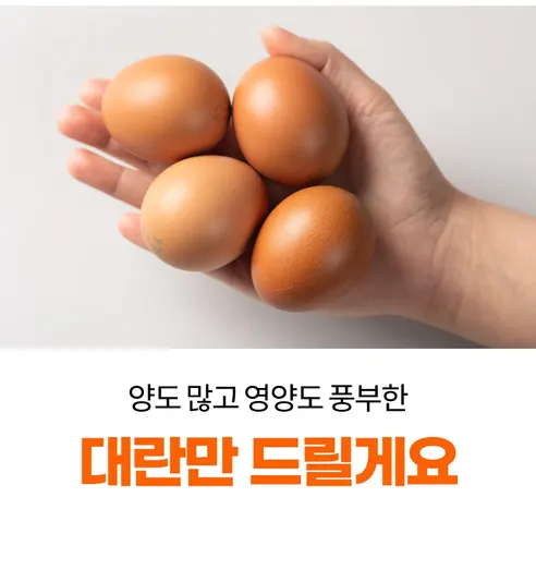 대한민국농수산 구운란, 대란, 30구, 1판 상세 이미지 4