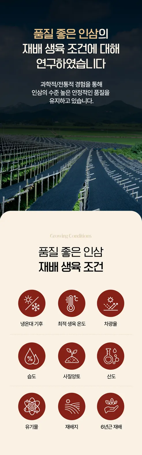 고려홍삼정 홍삼비책, 100g, 10박스 상세 이미지 7