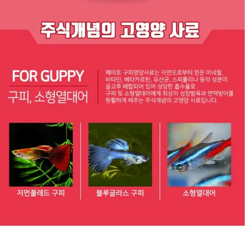 페이토 구피영양사료, 구피, 100ml, 1개 상세 이미지 1