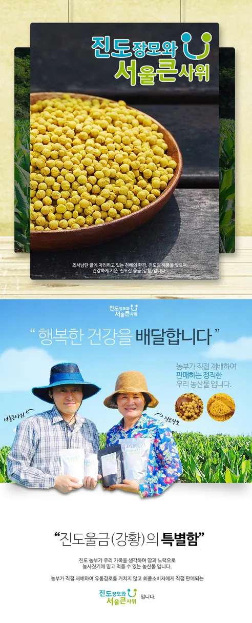 진도 강황 환, 200g, 1개 상세 이미지 3