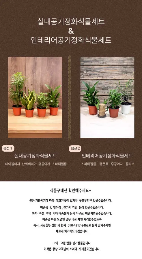 이삭 실내 공기정화식물 세트, 스파티필름 + 홍콩야자 + 테이블야자 + 산세베리아, 4종, 1세트 상세 이미지 1