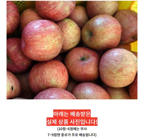 햇 청송 부사 사과, 대과, 5kg, 1박스 상세 이미지 24