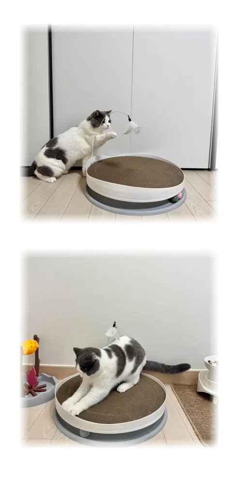 고양이 대형 트랙볼 스크래쳐 평판형 장난감, 화이트, 50cm, PTVC-25, 1개 상세 이미지 9