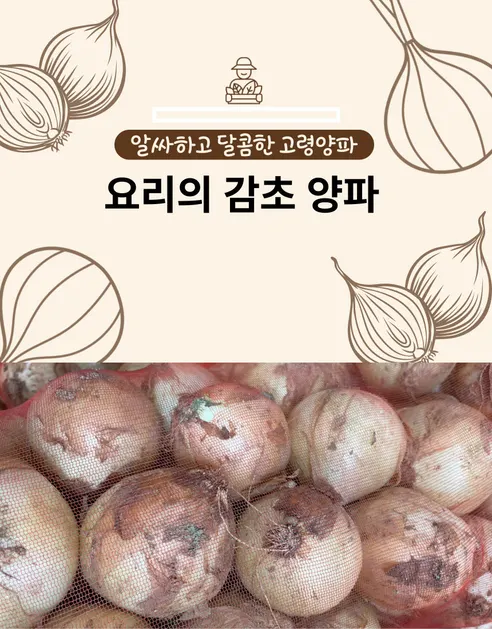 무안 일반양파, 최상급, 10kg, 1박스 상세 이미지 1