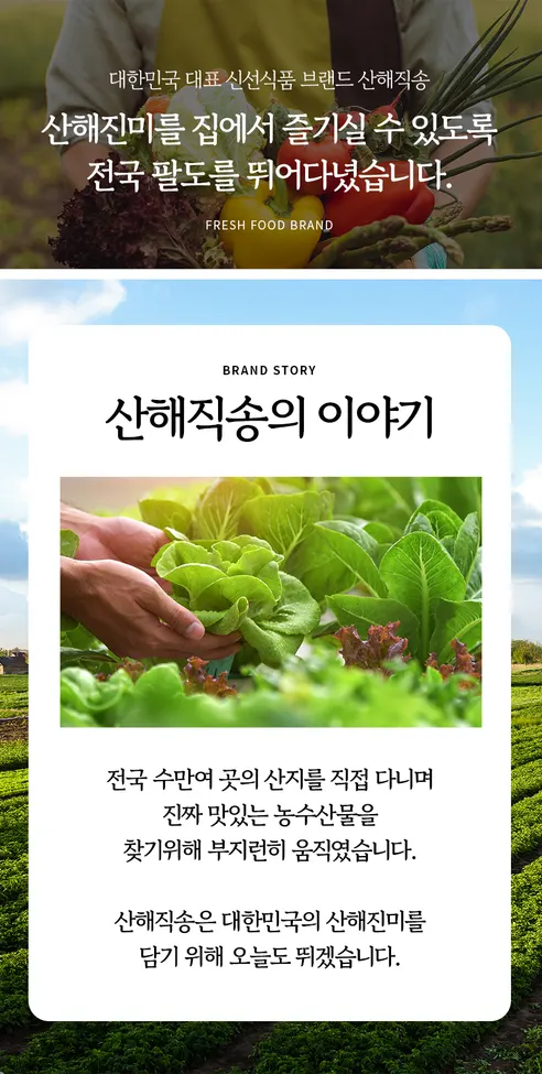 산해직송 국내산 전라도 파김치, 1kg, 1팩 상세 이미지 9