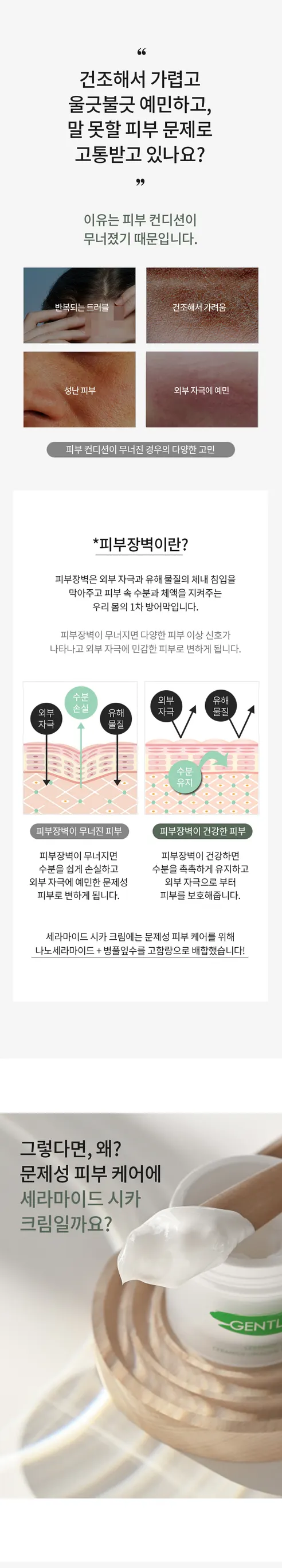 젠틀마스크 리포좀 세라마이드 시카 재생 크림, 50ml, 1개 상세 이미지 3