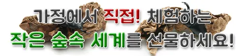 과일 곤충젤리 혼합 장수풍뎅이 사슴벌레 먹이 발효톱밥 사육 키우기, 과일젤리 혼합형, 20개입 상세 이미지 1