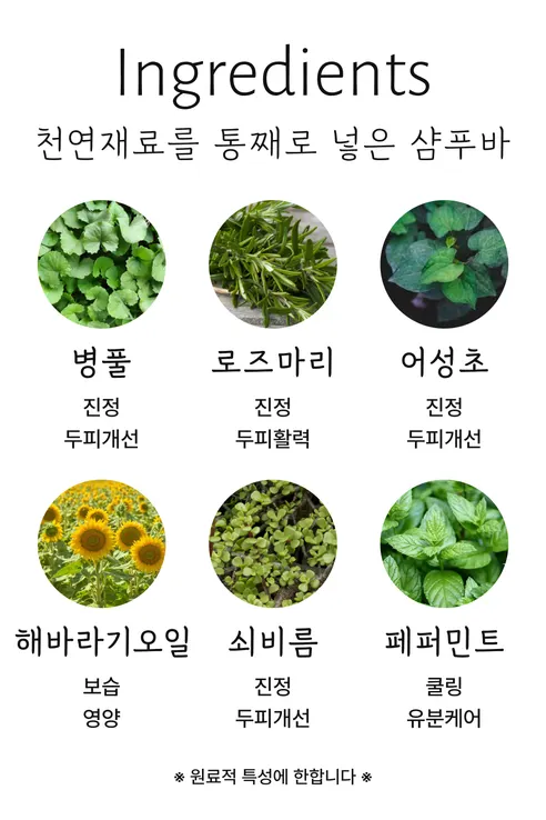 단비주 두피 딥 클렌징 병풀 샴푸바, 100g, 1개 상세 이미지 10