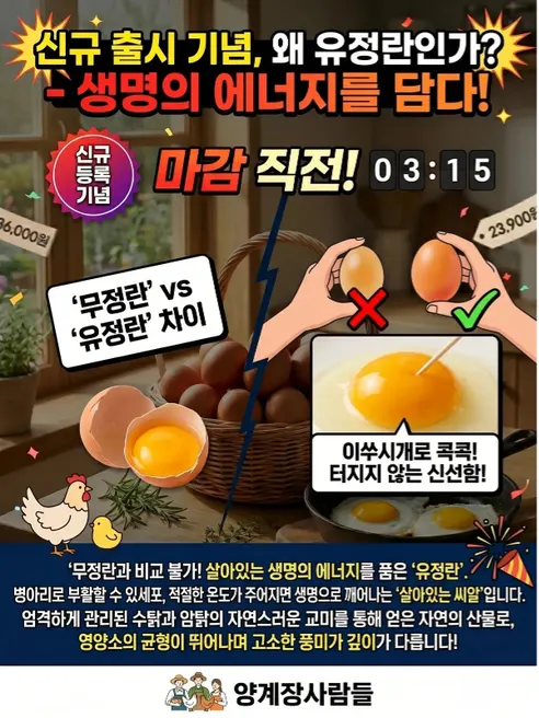 양계장사람들 난각번호2번 프리미엄 유정란, 특대란, 60구, 1개 상세 이미지 2