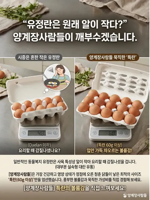 양계장사람들 난각번호2번 프리미엄 유정란, 특대란, 60구, 1개 상세 이미지 6