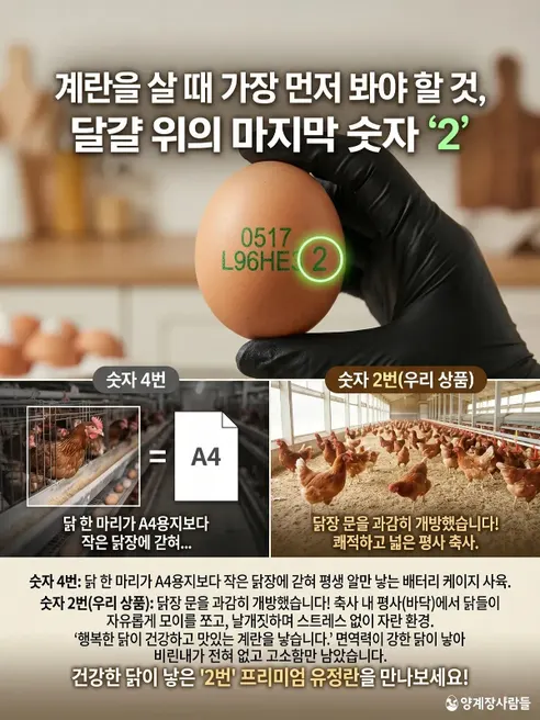 양계장사람들 난각번호2번 프리미엄 유정란, 특대란, 60구, 1개 상세 이미지 7