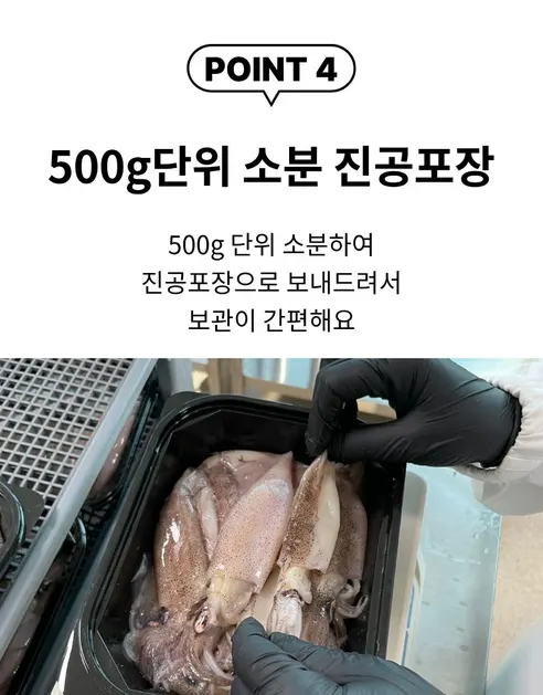 다원 통찜용 자연산 한치, 15-23미, 500g, 2개 상세 이미지 13