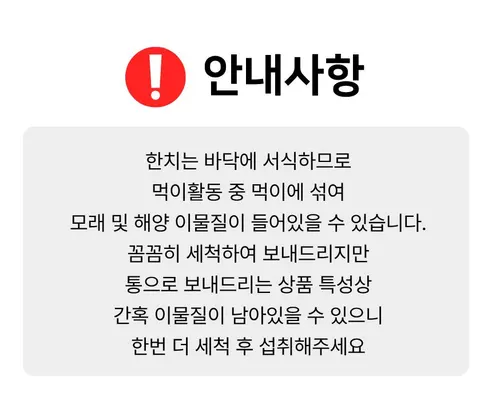 다원 통찜용 자연산 한치, 15-23미, 500g, 2개 상세 이미지 2