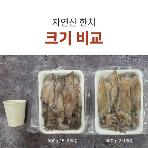 다원 통찜용 자연산 한치, 15-23미, 500g, 2개 상세 이미지 4