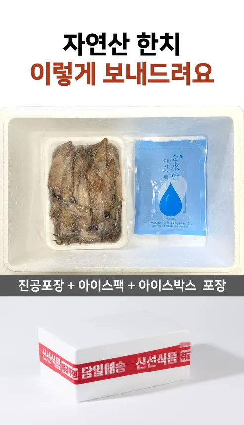 다원 통찜용 자연산 한치, 15-23미, 500g, 2개 상세 이미지 16