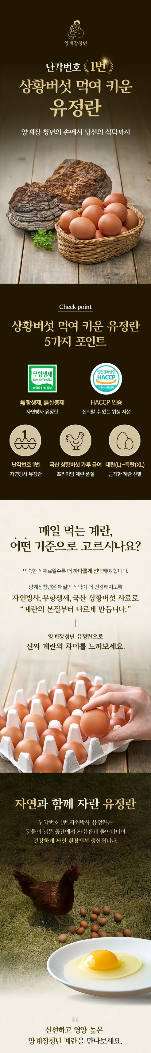 양계장청년 난각1번 자연방사 상황버섯 먹여 키운 무항생제 유정란, 60구, 1박스 상세 이미지 1