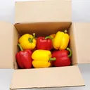 의령농산 못난이 파프리카, 가정용, 1kg, 1박스