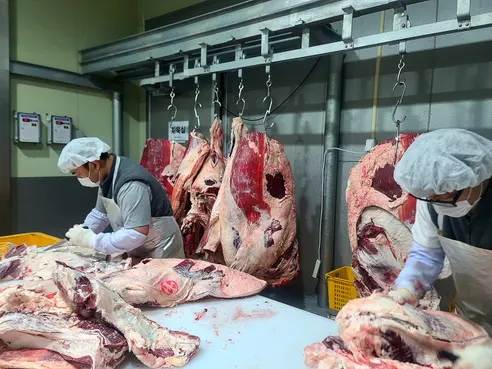 땡이마켓 한상가득 소고기 모둠, 1kg, 1박스 상세 이미지 10