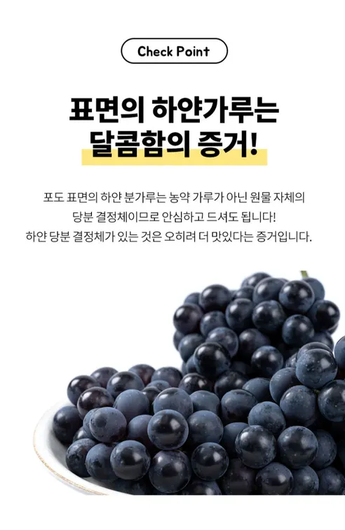 청과상회 캠벨포도, 3kg, 1개 상세 이미지 12