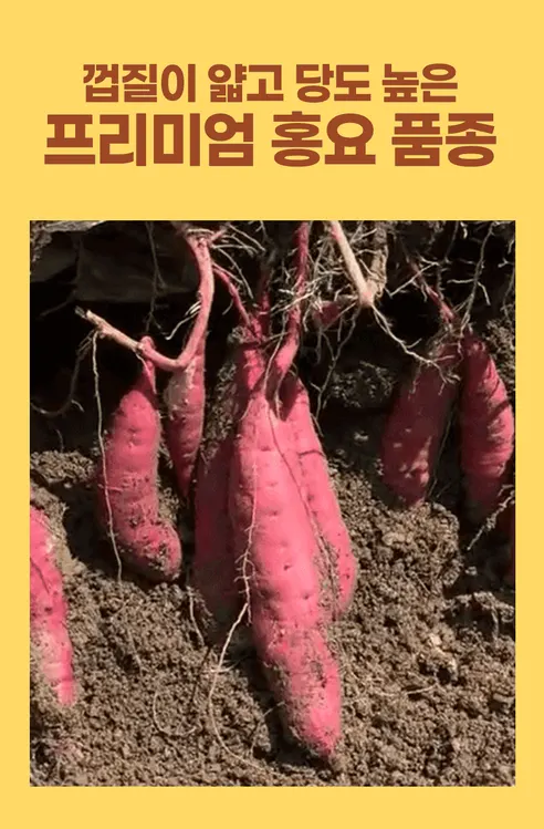 트루나 군고구마빠, 50g, 10팩 상세 이미지 14