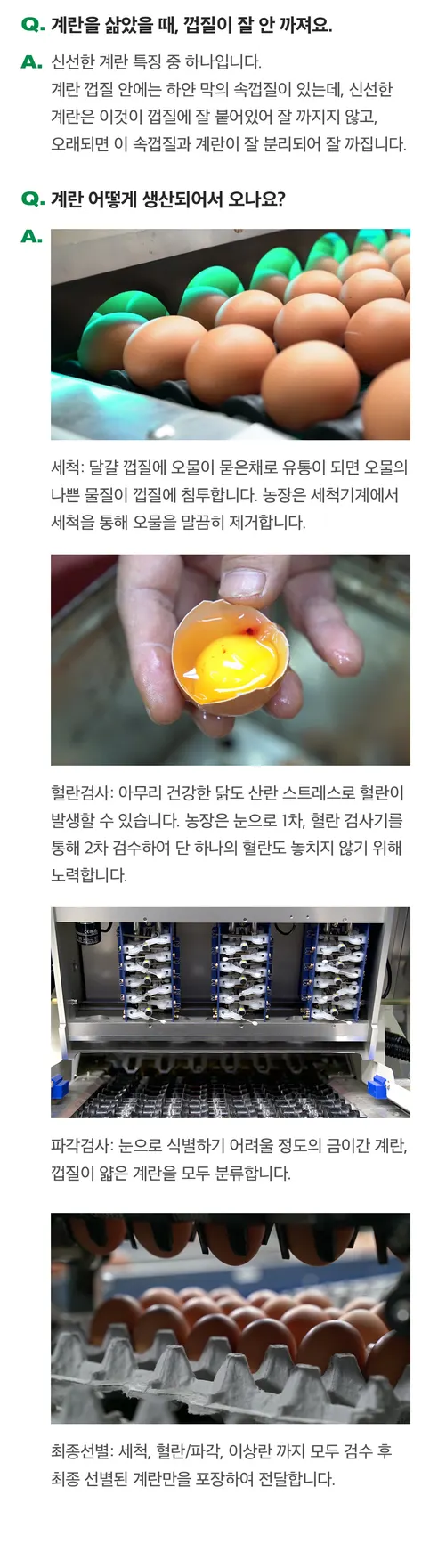 삼초계란, 난각번호 1번, 20구 상세 이미지 19