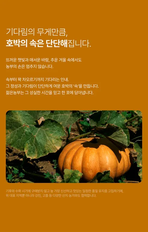 푸릇담 젊은농부 호박즙, 100ml, 60팩 상세 이미지 19