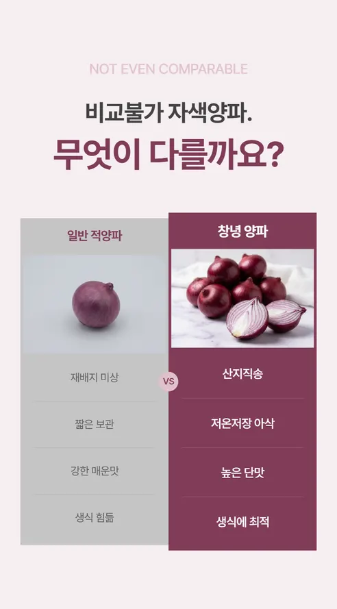 창녕 자색양파, 5kg, 1개 상세 이미지 5