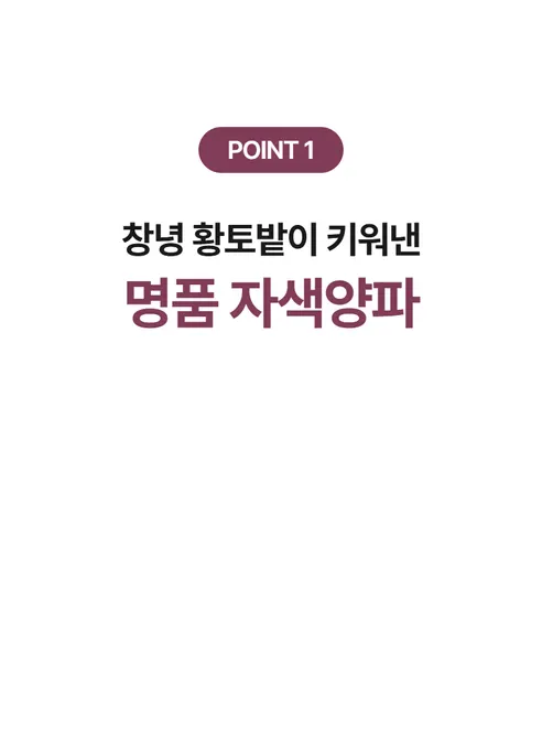 창녕 자색양파, 5kg, 1개 상세 이미지 8