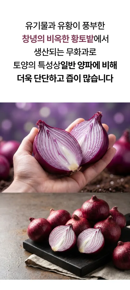 창녕 자색양파, 5kg, 1개 상세 이미지 9