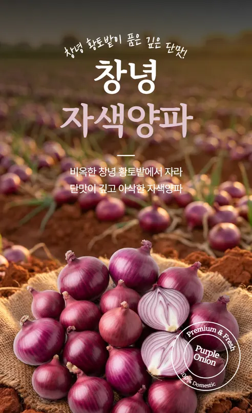 창녕 자색양파, 5kg, 1개 상세 이미지 2