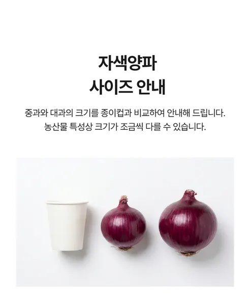 창녕 자색양파, 5kg, 1개 상세 이미지 1