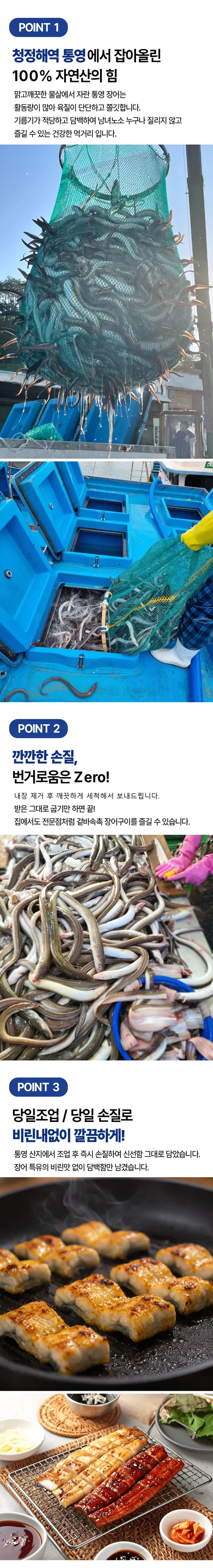 산들에담다 통영 손질 활 바다장어, 대, 1kg, 1박스 상세 이미지 5