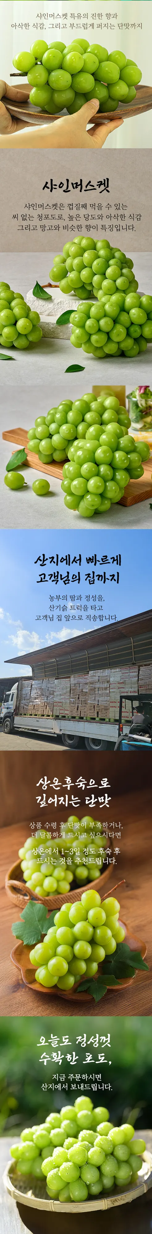 산기슭 샤인머스켓, 2~3수, 1kg, 1개 상세 이미지 5