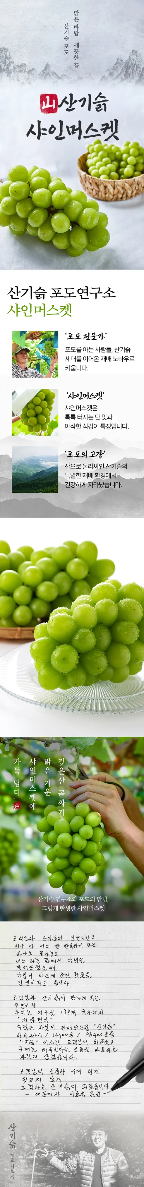 산기슭 샤인머스켓, 2~3수, 1kg, 1개 상세 이미지 3