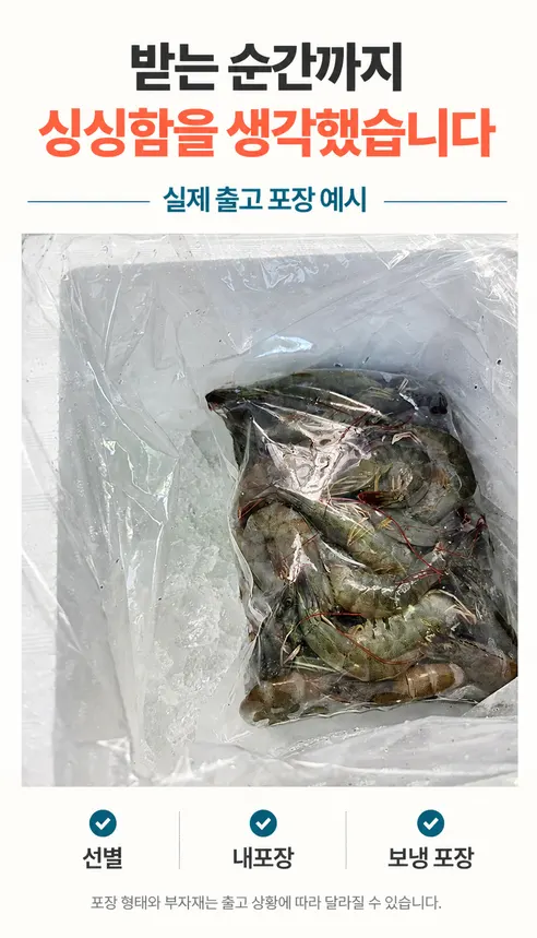 산들에담다 국내산 노지 활 새우, 500g, 1개 상세 이미지 5