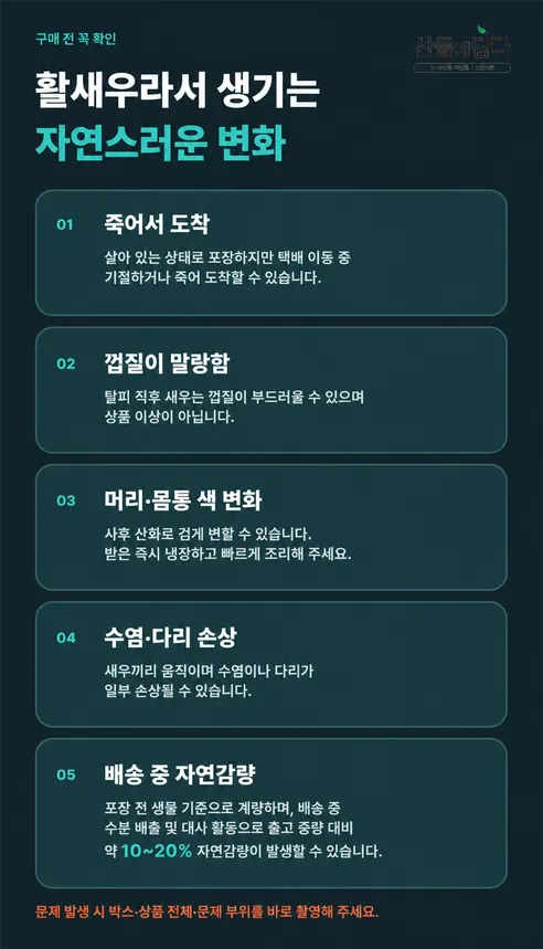 산들에담다 국내산 노지 활 새우, 500g, 1개 상세 이미지 6