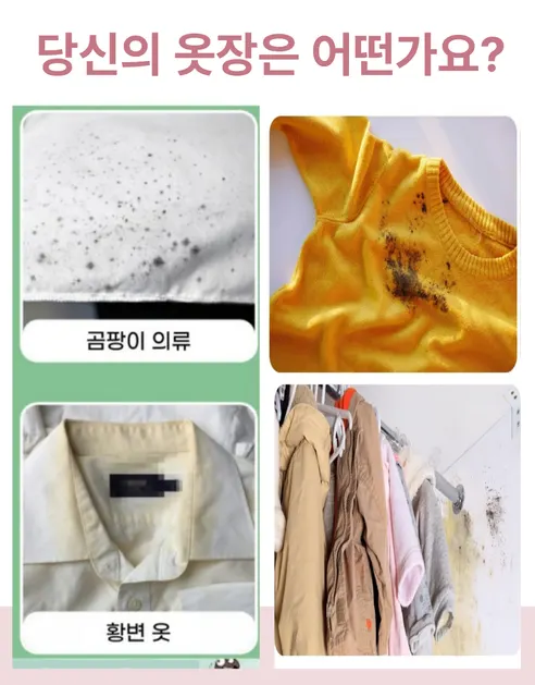 일본식 의류용 방충 방습제, 장미향, 2ml, 48개입, 3개 상세 이미지 13