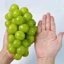 하우스 샤인머스켓, 4-6수, 2kg, 1박스