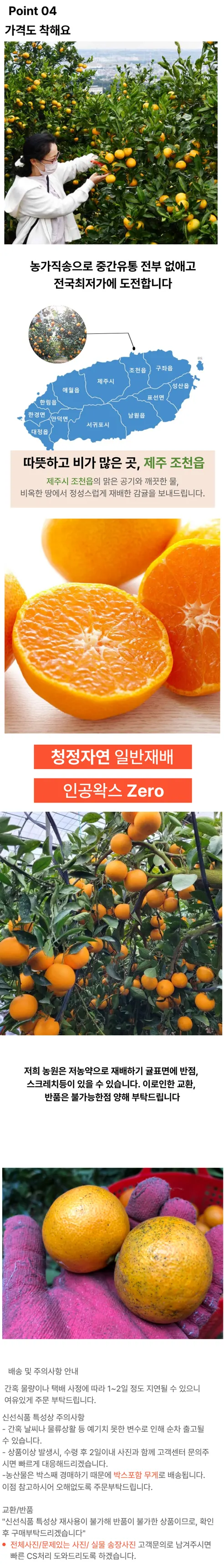 제주 감귤, 특품, 로얄과, 5kg, 1박스 상세 이미지 2