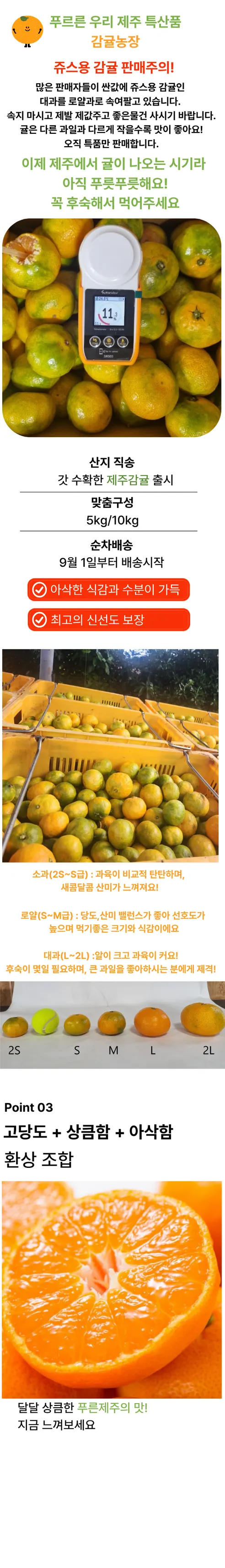 제주 감귤, 특품, 로얄과, 5kg, 1박스 상세 이미지 1