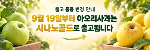 프레쉬 떼루아 햇 시나노골드 사과, 4kg, 1박스 상세 이미지 1