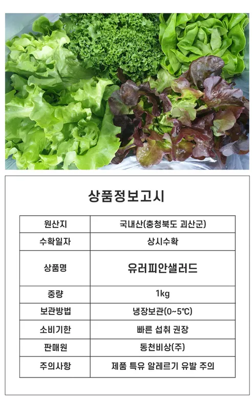유러피안샐러드, 1kg, 1박스 상세 이미지 9