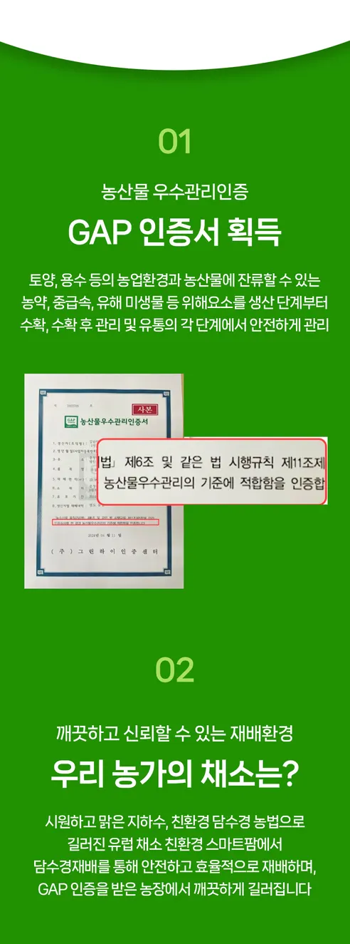유러피안샐러드, 1kg, 1박스 상세 이미지 5