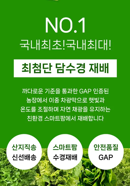 유러피안샐러드, 1kg, 1박스 상세 이미지 2
