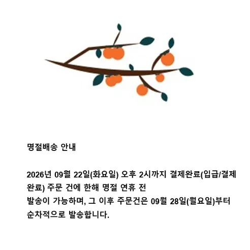 샘트라이크 콤팩트 접이식 유아 세발자전거 STC100, 25형, 민트, 바람막이 포함, 1개 판매자 안내